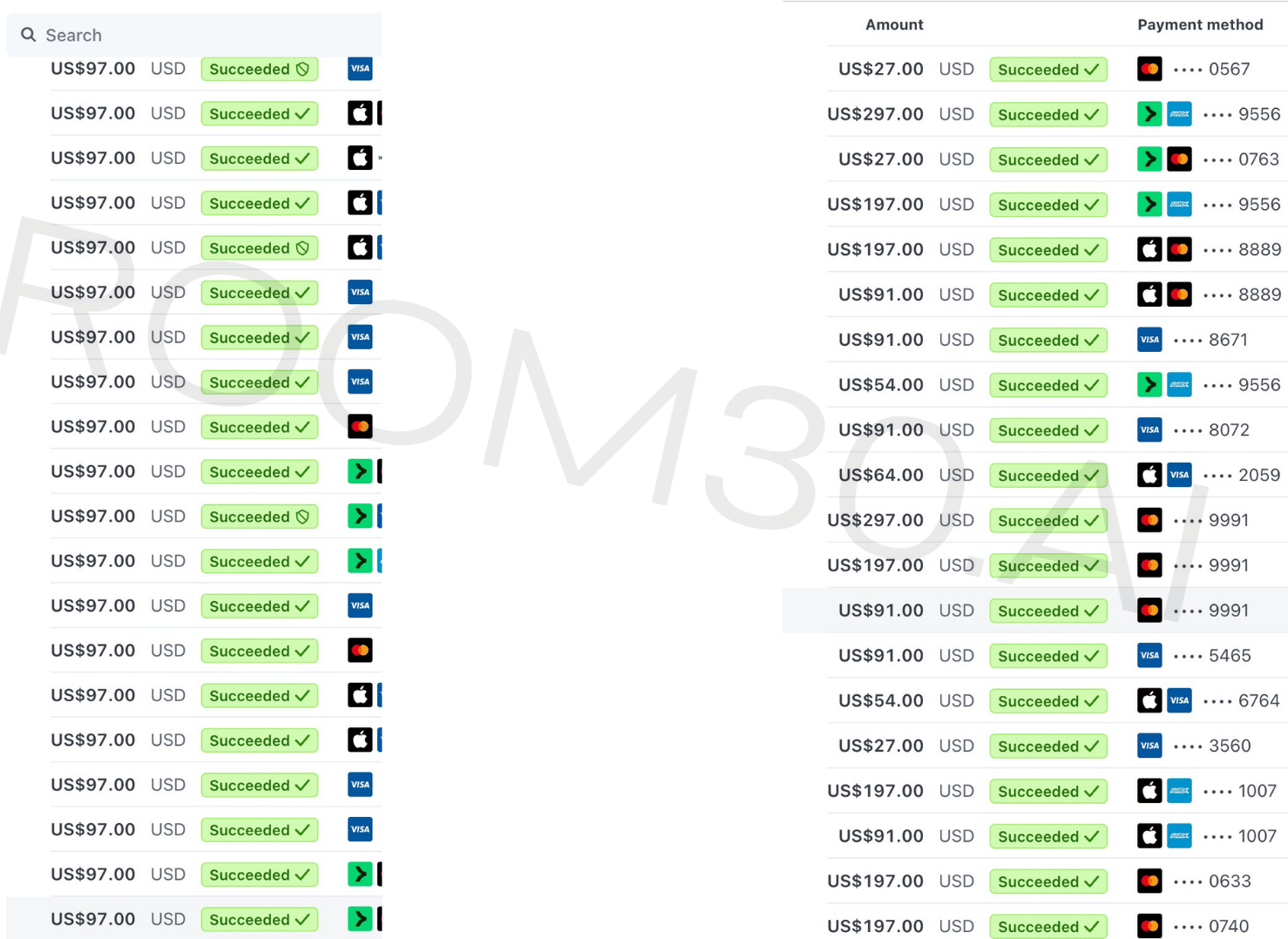 Stripe transactions ledger - succeeded payments grid view